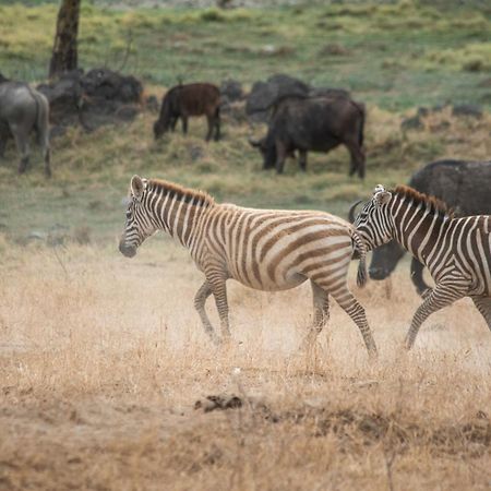 Sarova Lion Hill Game Lodge Nakuru Bagian luar foto