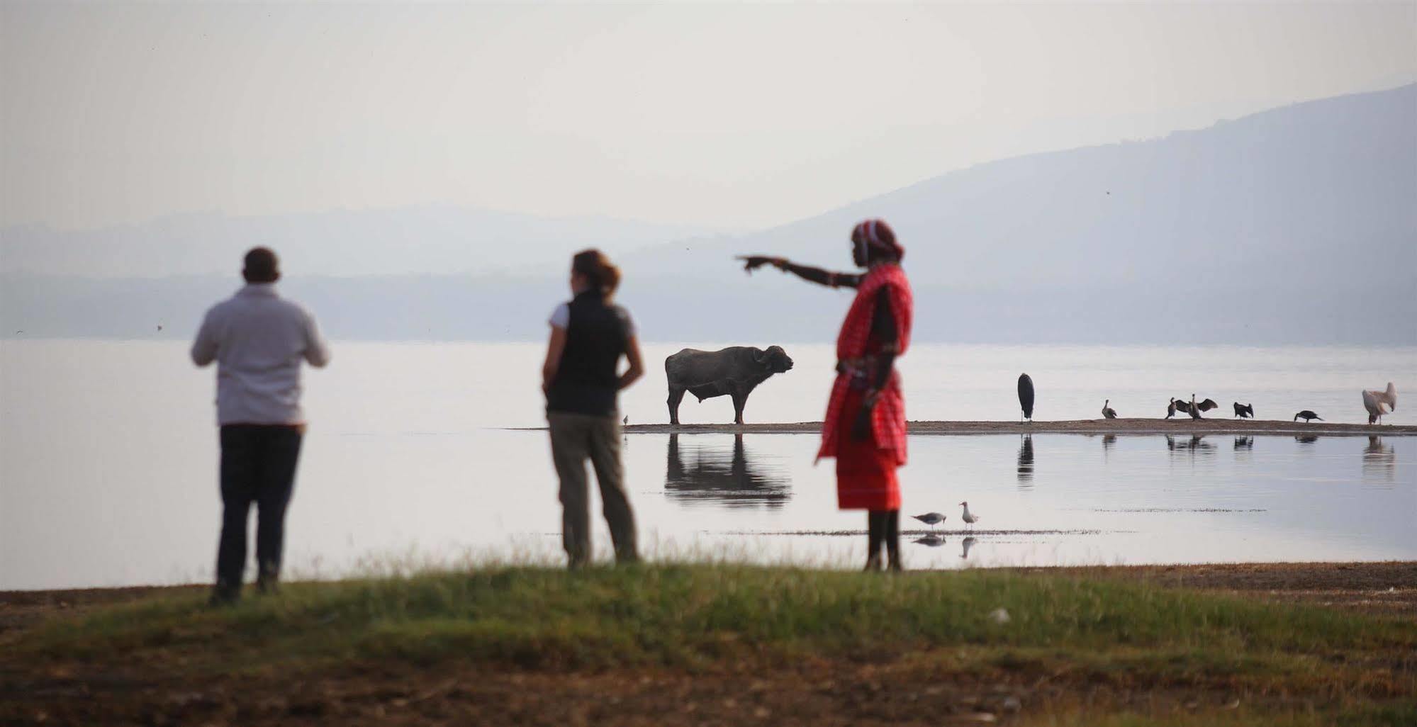 Sarova Lion Hill Game Lodge Nakuru Bagian luar foto